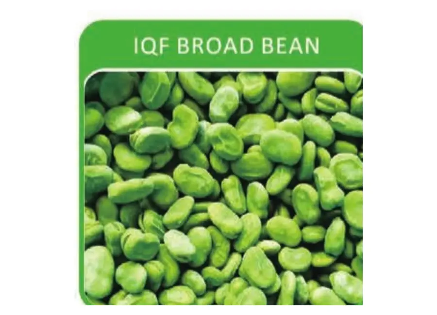 IQF Broad Bean from the Deesheng Food catalogue