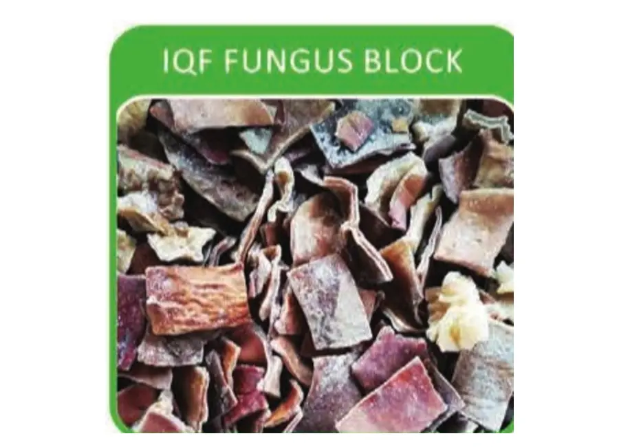 IQF Fungus Block from the Deesheng Food catalogue