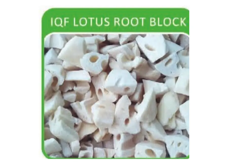 IQF Lotus Root Block from the Deesheng Food catalogue