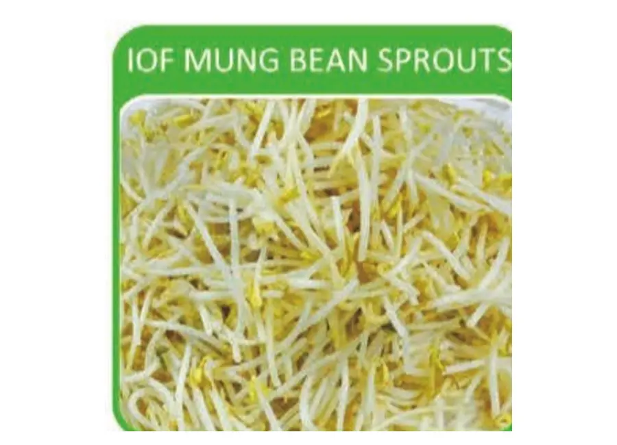 IQF Mung Bean Sprouts from the Deesheng Food catalogue