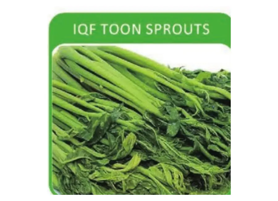 IQF Toon Sprouts from the Deesheng Food catalogue