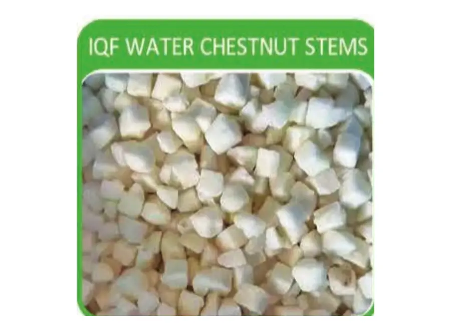IQF Water Chestnut Stems from the Deesheng Food catalogue