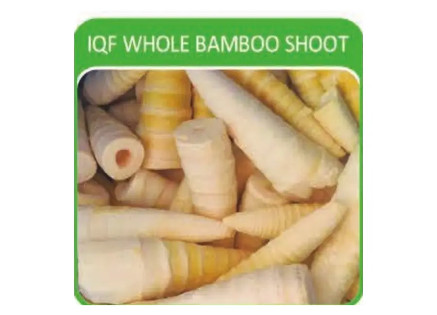 IQF Whole Bamboo Shoot from the Deesheng Food catalogue